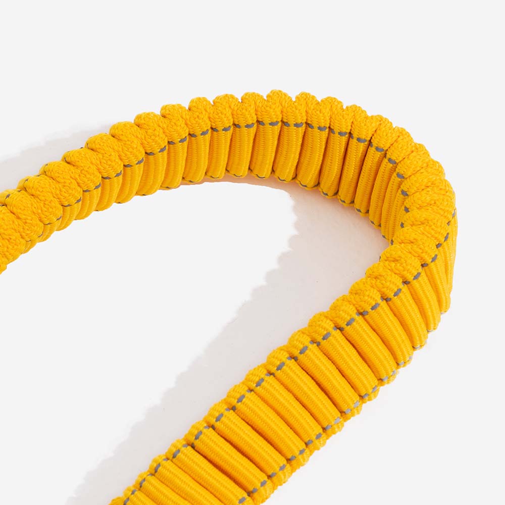 Cinturón de seguridad para perro con correa ajustable de seguridad