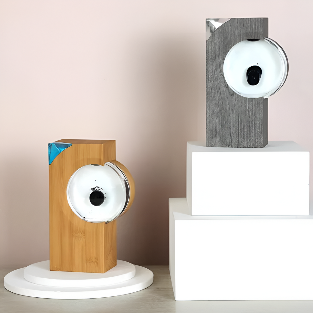 Sound Activated Ferrofluid Visual Display