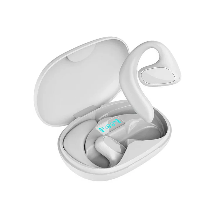 Language Translator Earbuds with Charging Case