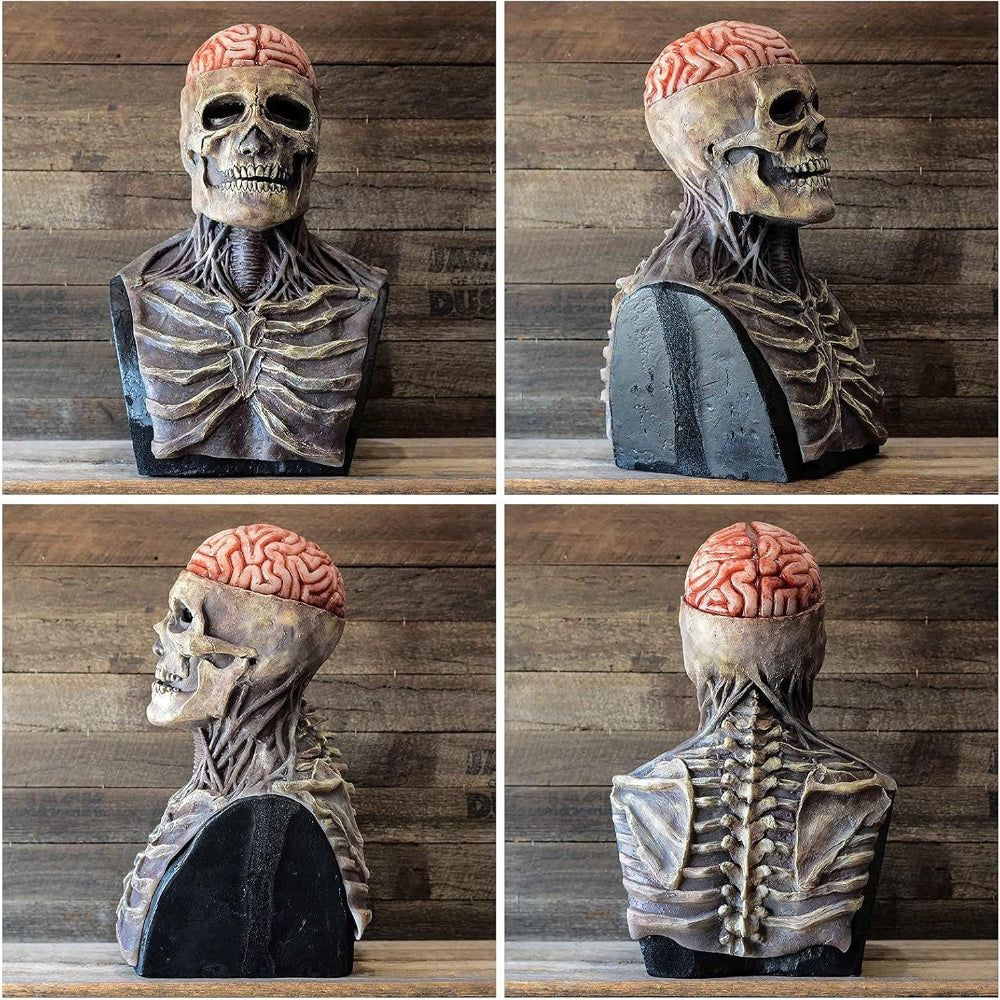 Skull Mask with Brain Detail