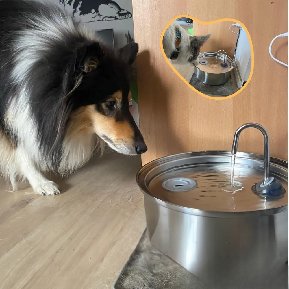 Automatic Stainless Steel Water Fountain Pet Drinking Bowl