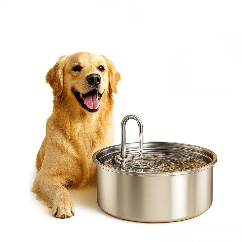 Automatic Stainless Steel Water Fountain Pet Drinking Bowl