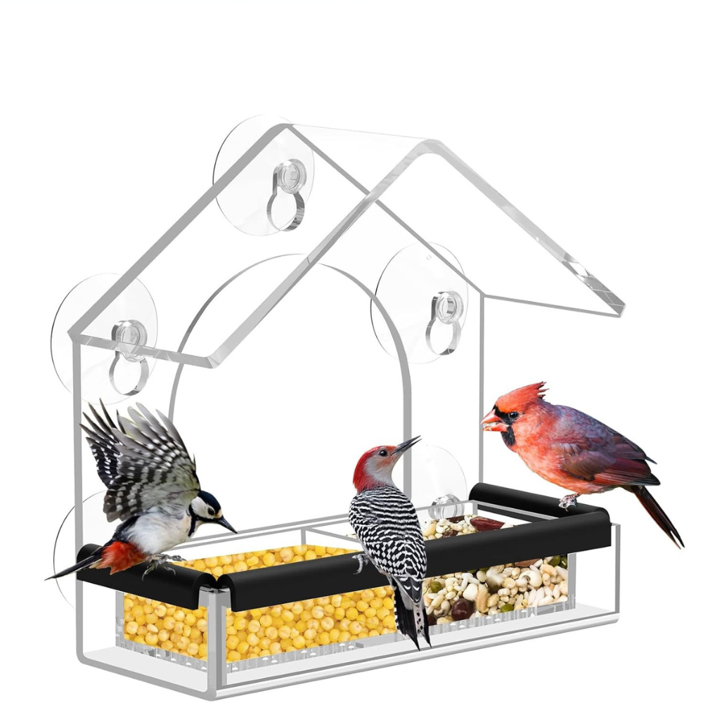 Bird Feeder Clear Acrylic Window Suction House