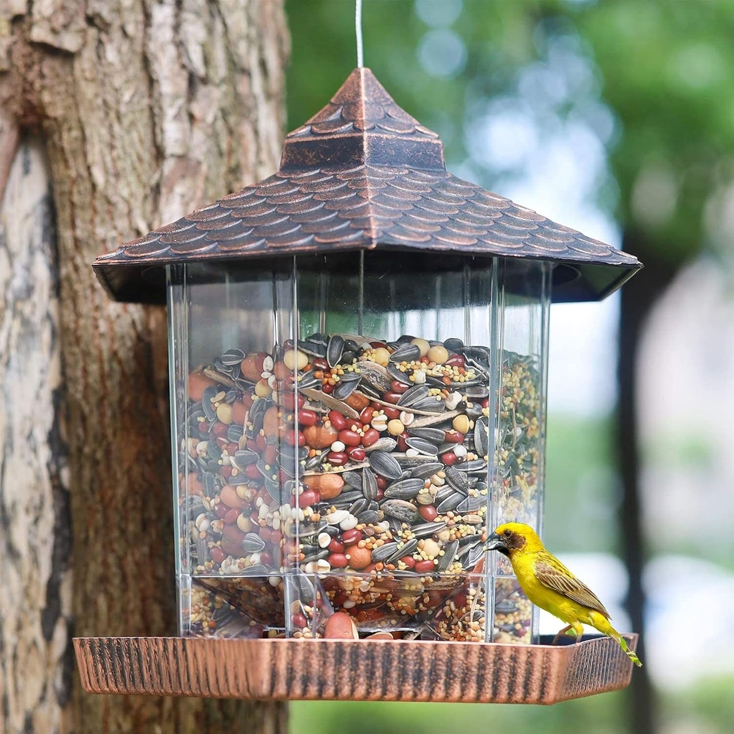 Bird Feeder Hanging Copper Roof Outdoor