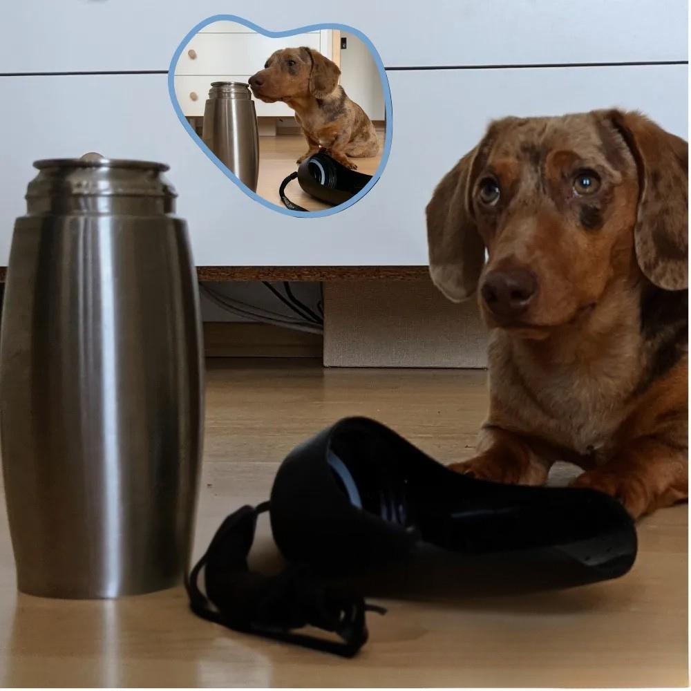 Botella de agua para perros de acero inoxidable vaso portátil para beber de viaje