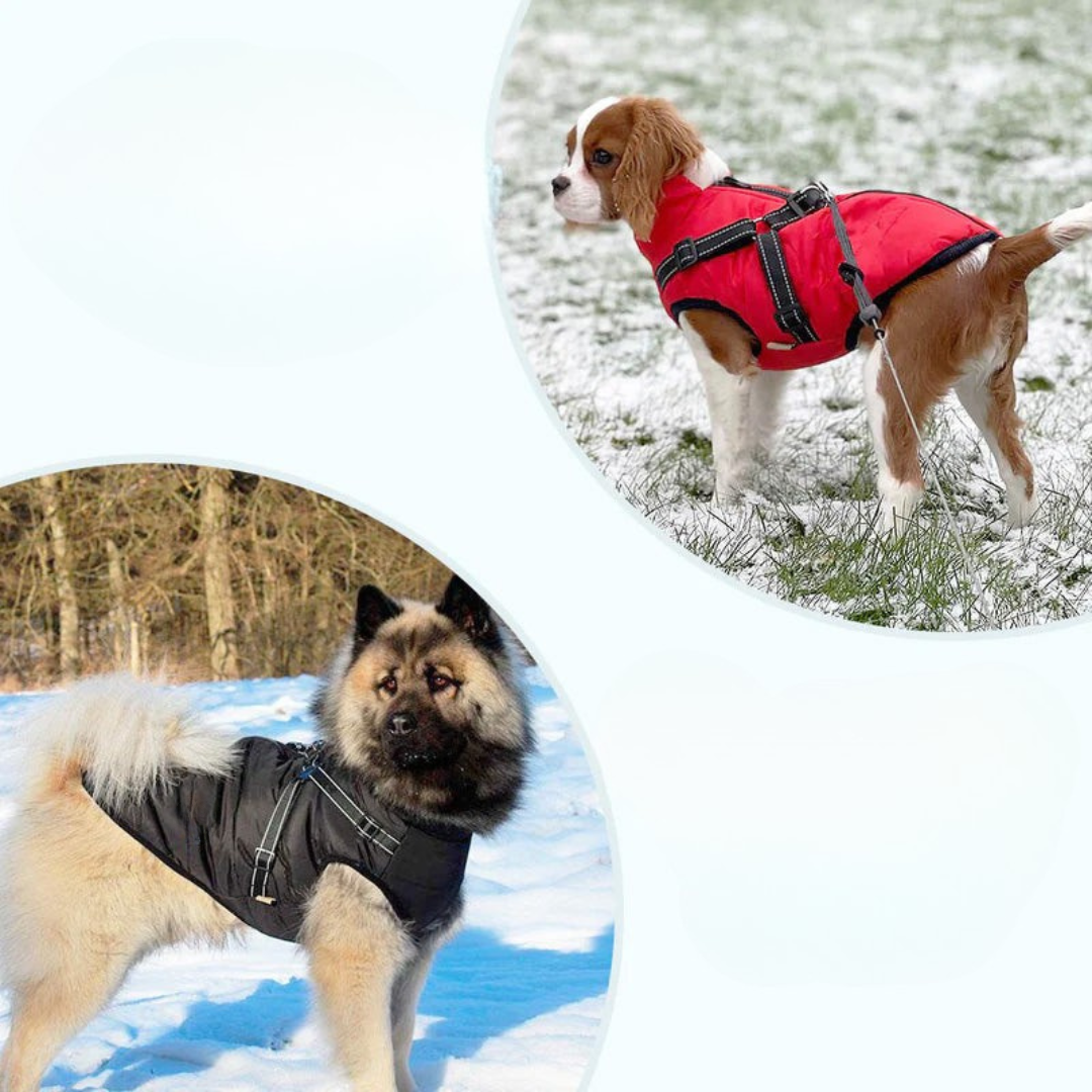 Abrigo impermeable para perro con forro polar y arnés