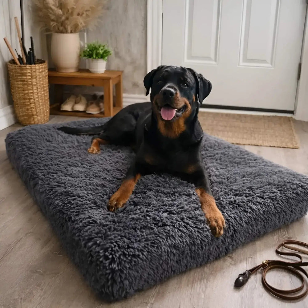 Pet Pillow Soft Resting Foam Cushion 5