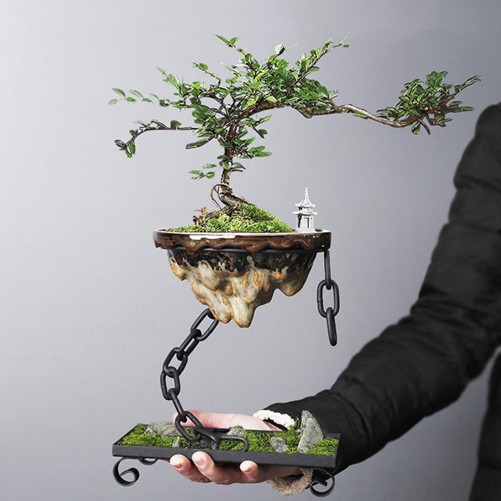 Plant Pot Floating Bonsai Hanging Display Bowl