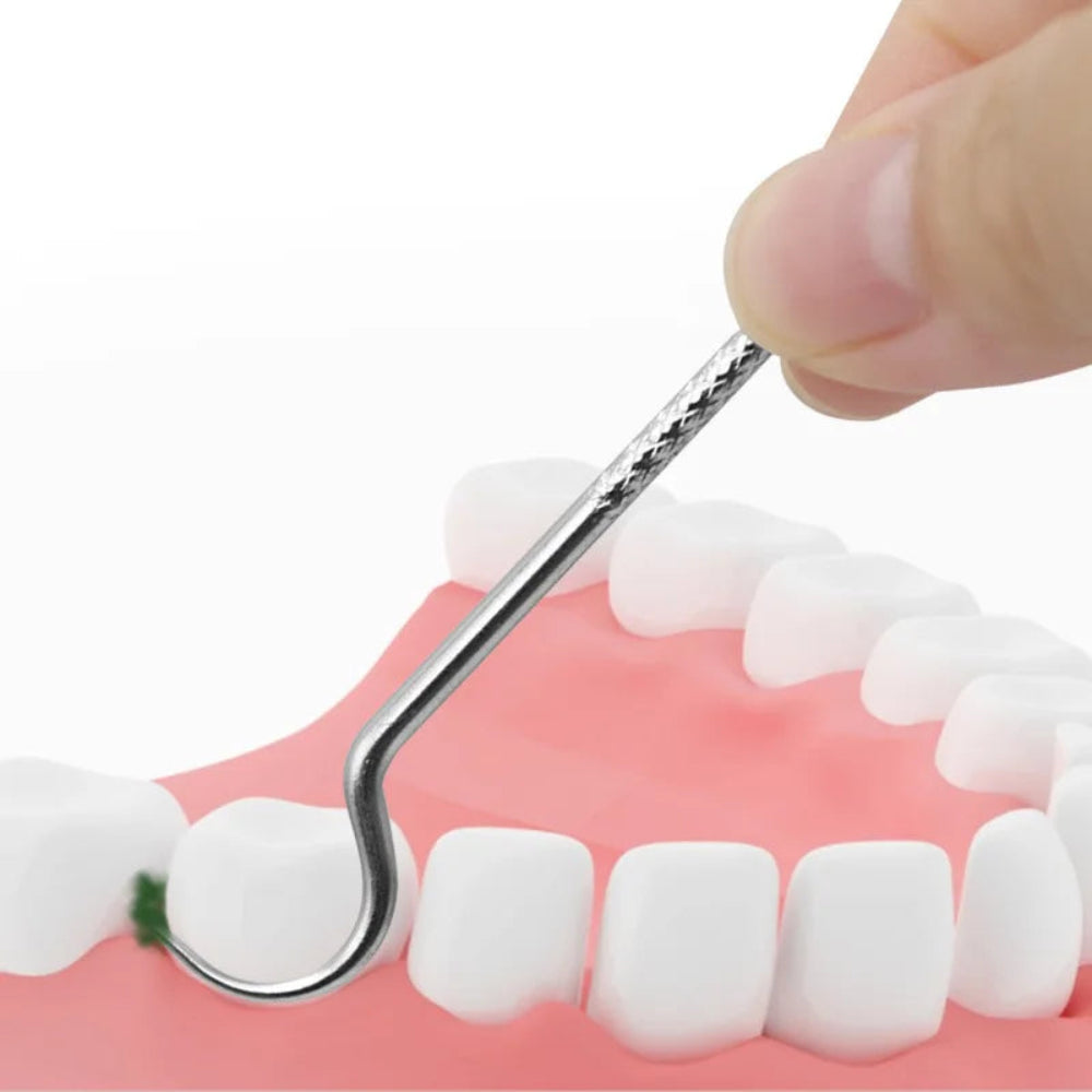 Stainless Steel Toothpicks Oral Hygiene Set 2