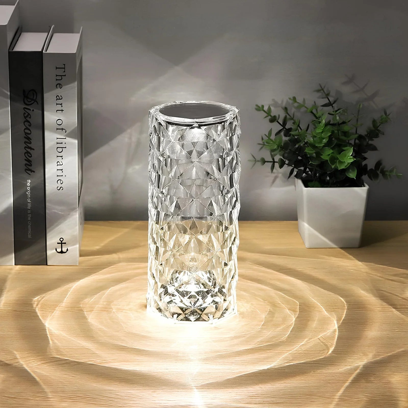 Table Lamp Acrylic Touch Control Light
