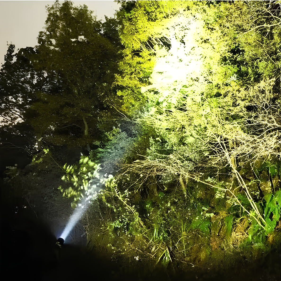 BeamMax™ Flashlight - Image 6