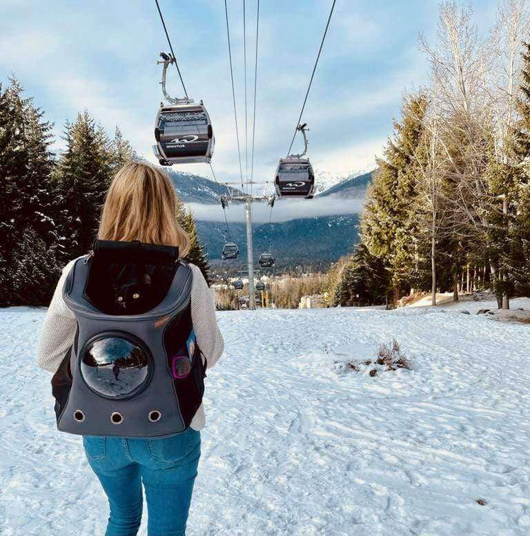 comfortable-cat-travel-backpac-2-ca168y