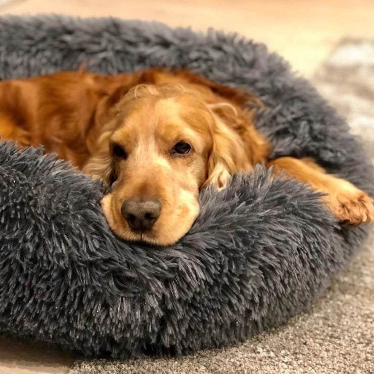 Calming Faux Fur Washable Dog Bed Cushion
