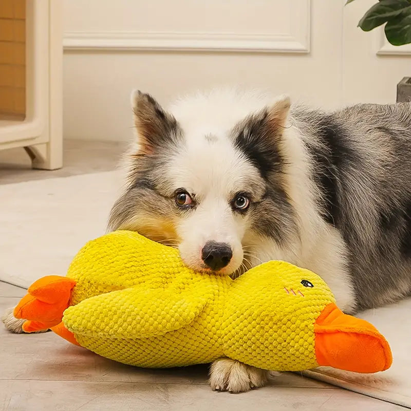 Juguete de Peluche para Perro en Forma de Pato para Estimulación Mental