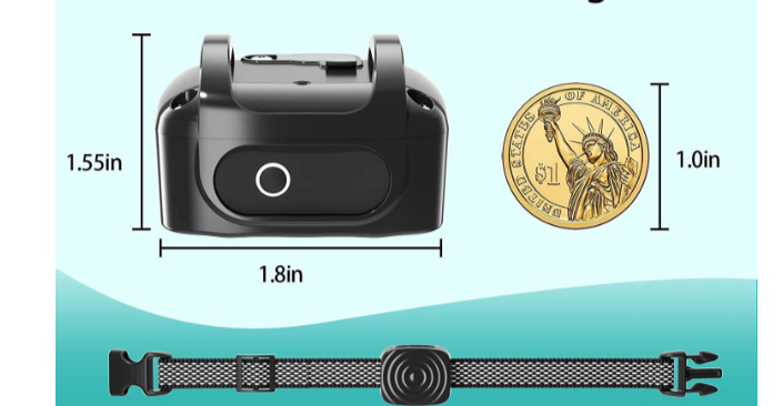 Collare Antiabbaio per Cani di Piccola Taglia