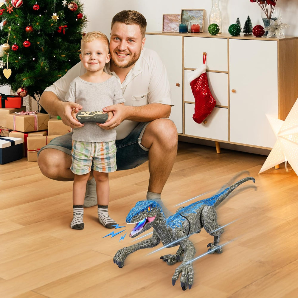 Remote Control Walking Dinosaur Toy