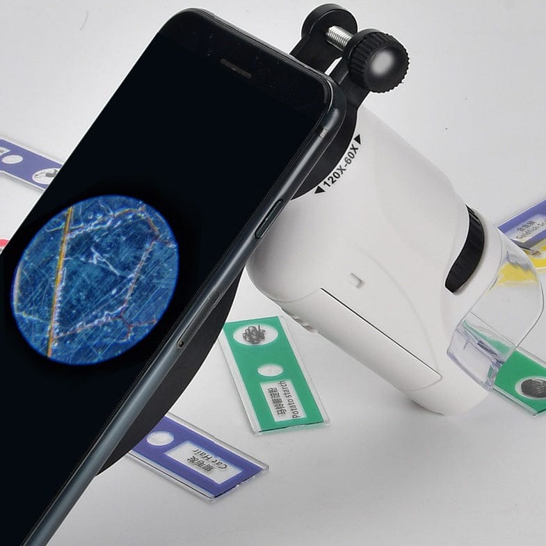 Tragbares LED-Taschenmikroskop-Spielzeug für Kinder