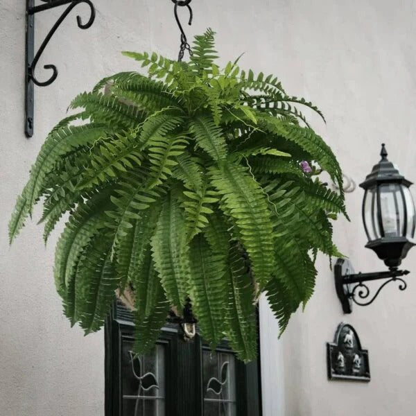 Lifelike UV-Resistant Artificial Fern Plant - Image 2