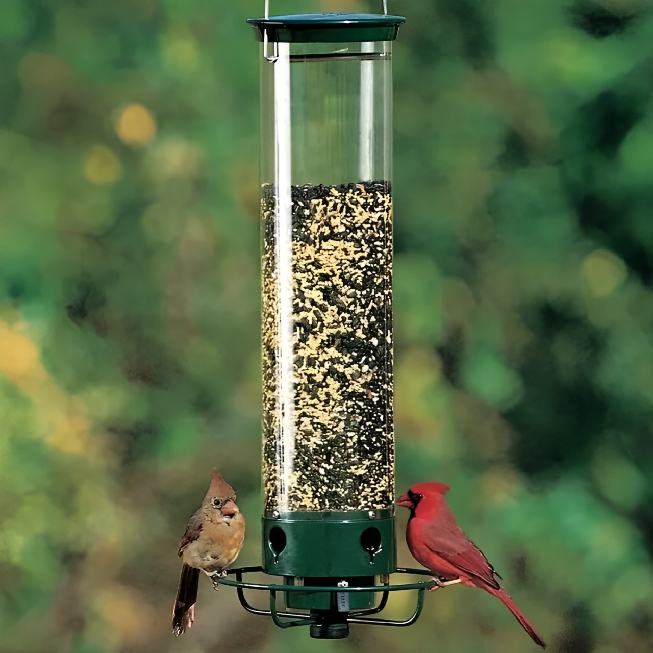 Bird Feeder Hanging Metal Squirrel Proof Tube