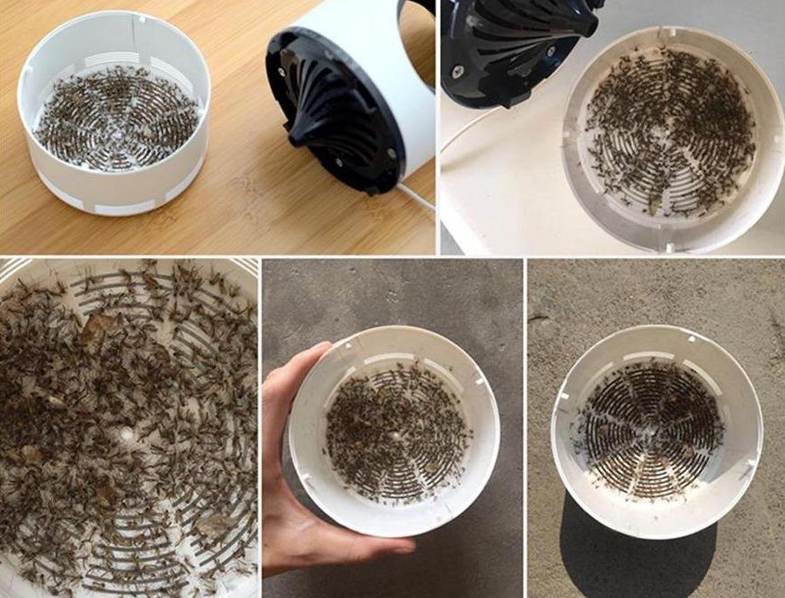 Lámpara Mata Mosquitos con Trampa de Luz UV