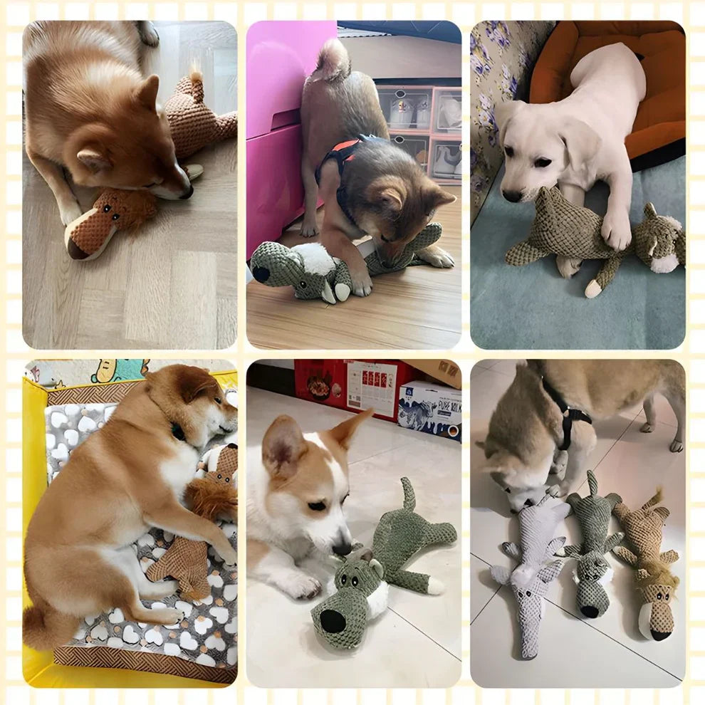 Hundespielzeug Kauspielzeug Plüsch Langlebig Quietscht Tier