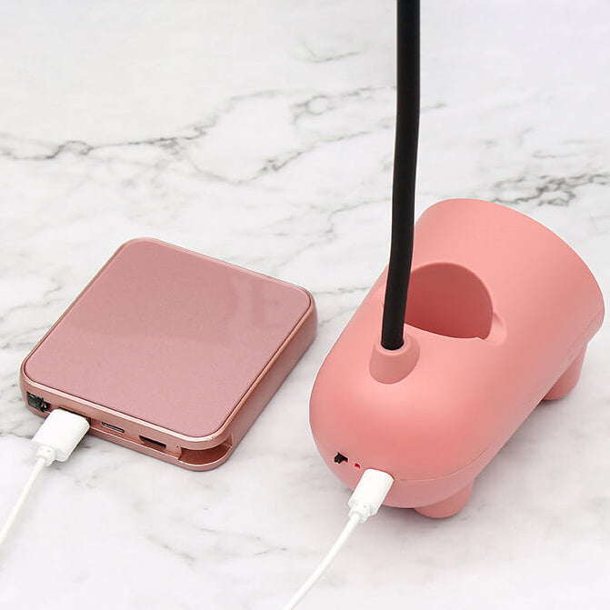 LED Desk Lamp with Pen Holder Storage