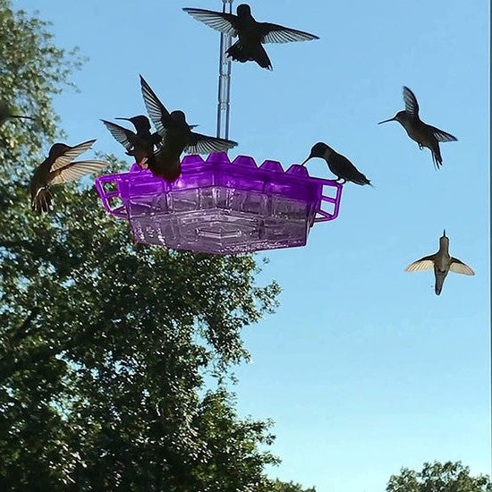 Kolibri-Futterspender Roter Kunststoff Hängender Vogel-Futterspender