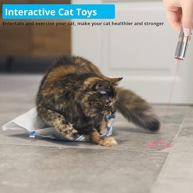 Cat Toy Rechargeable Stainless Steel Laser Light