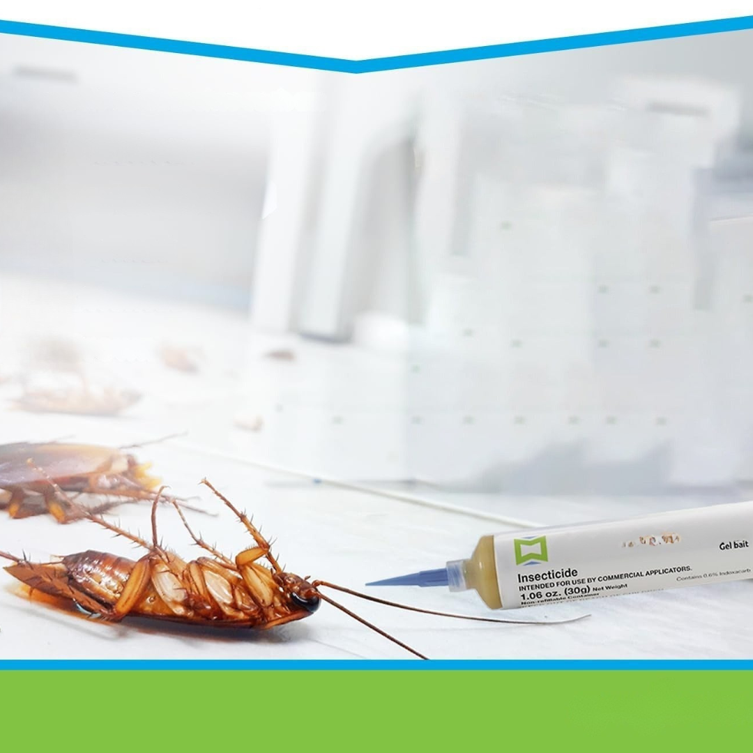 Gel proti škůdcům Bezpečný vnitřní zabiják švábů