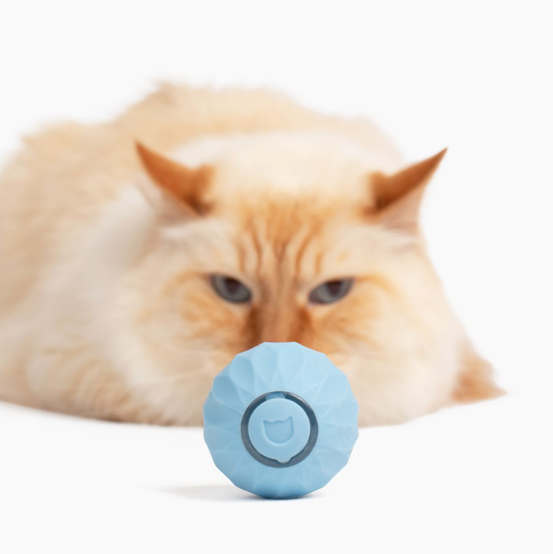 Cat Toy | Interactive Self-Rolling Ball