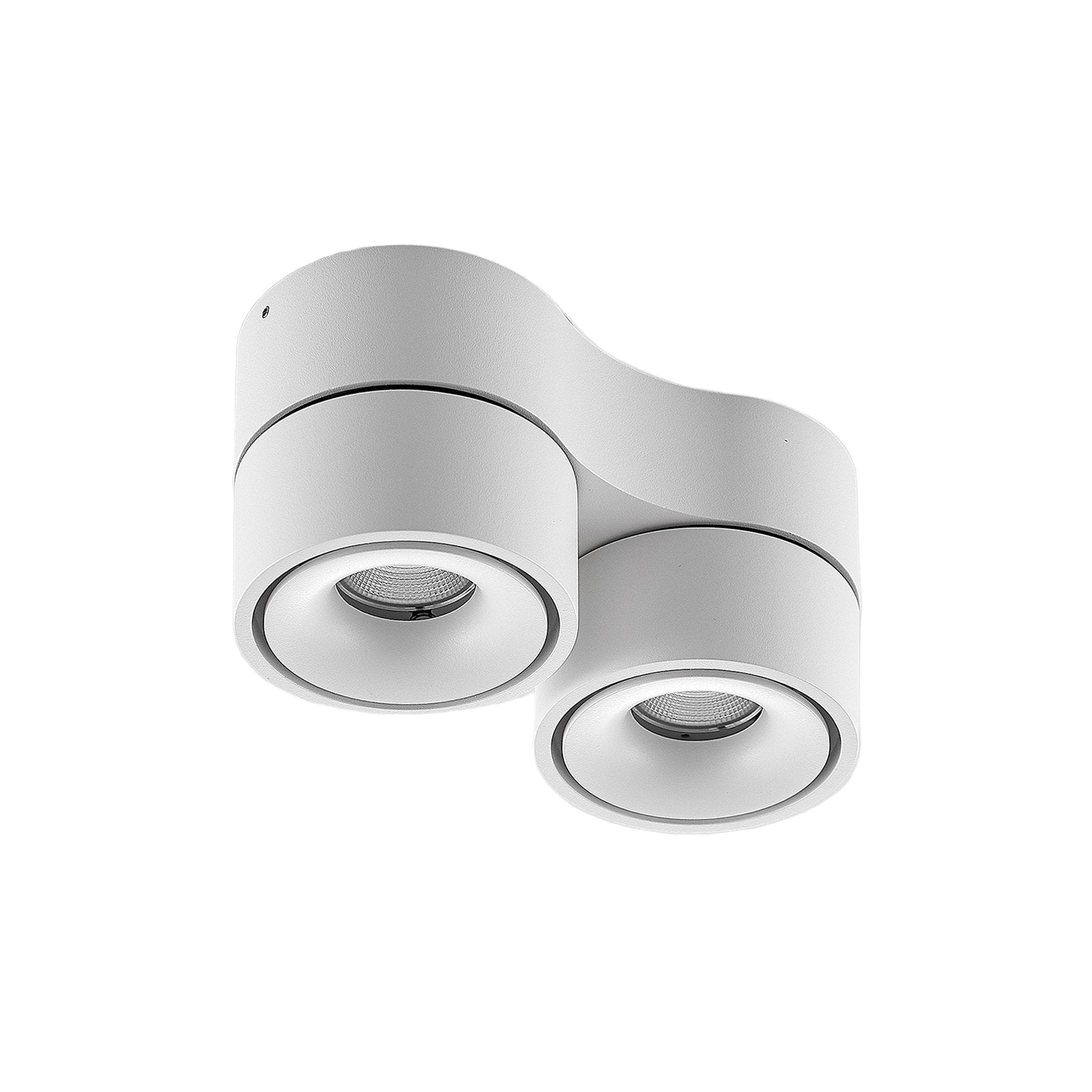 デュアル調節可能スポットライト付き天井照明