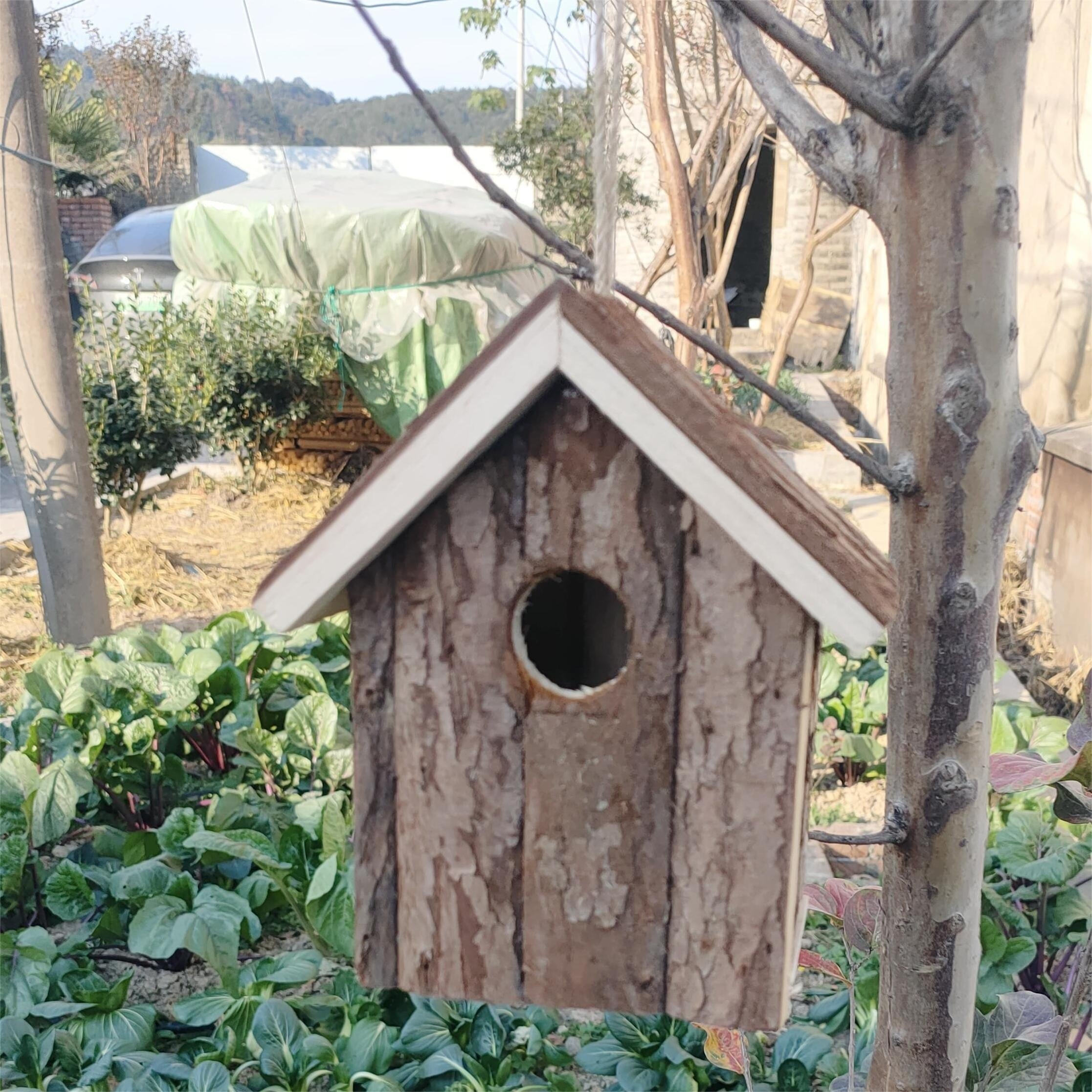 Wooden Hanging Outdoor Bird House Nest