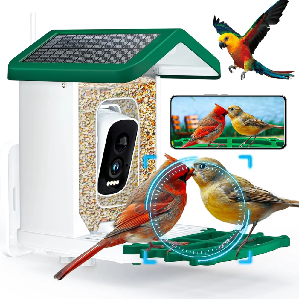 Bird Feeder Camera Solar Smart Outdoor Device