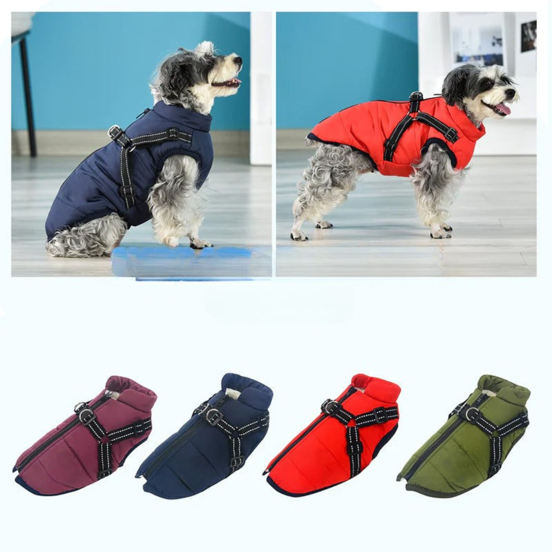 Abrigo impermeable para perro con forro polar y arnés