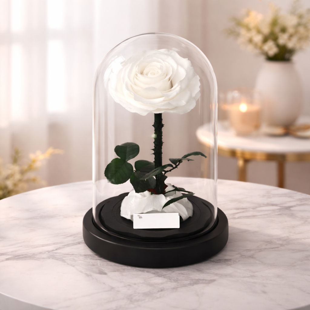Home Decor Preserved Rose Glass Dome Display