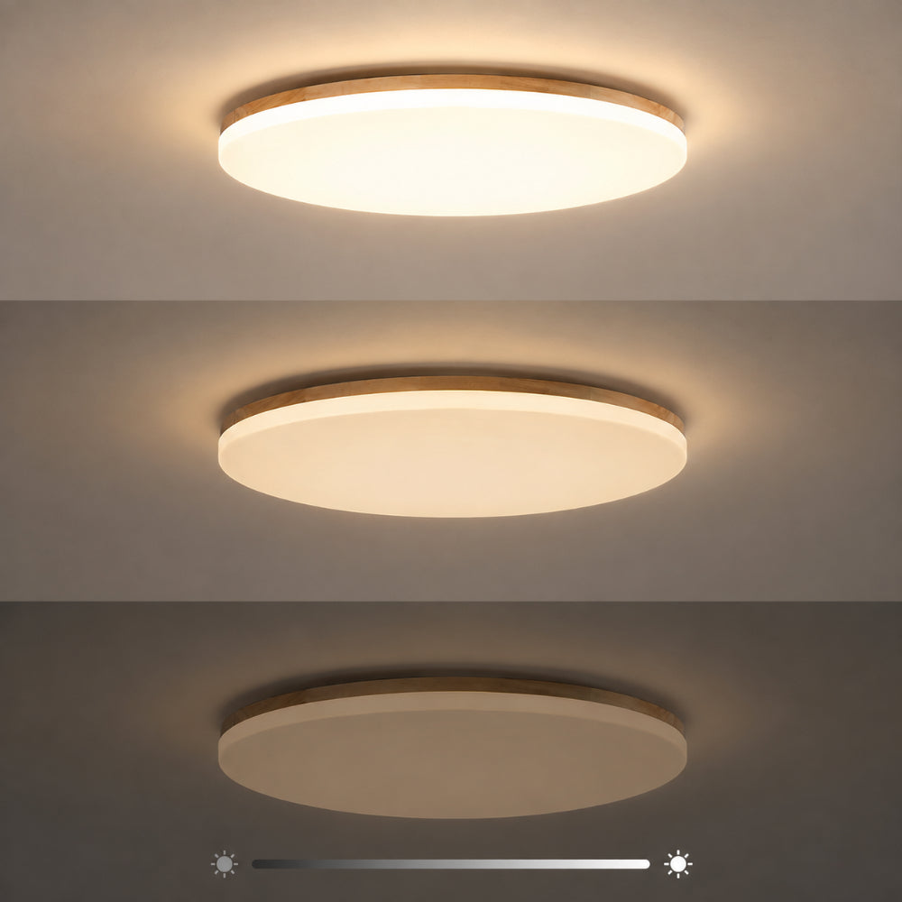 ZenAura - LED Ceiling Lamp for Bedroom, Living Room, and Dining Room