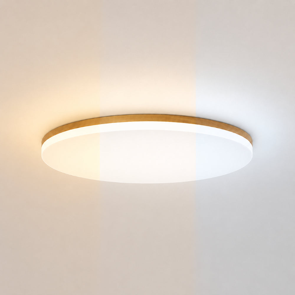 ZenAura - LED Ceiling Lamp for Bedroom, Living Room, and Dining Room