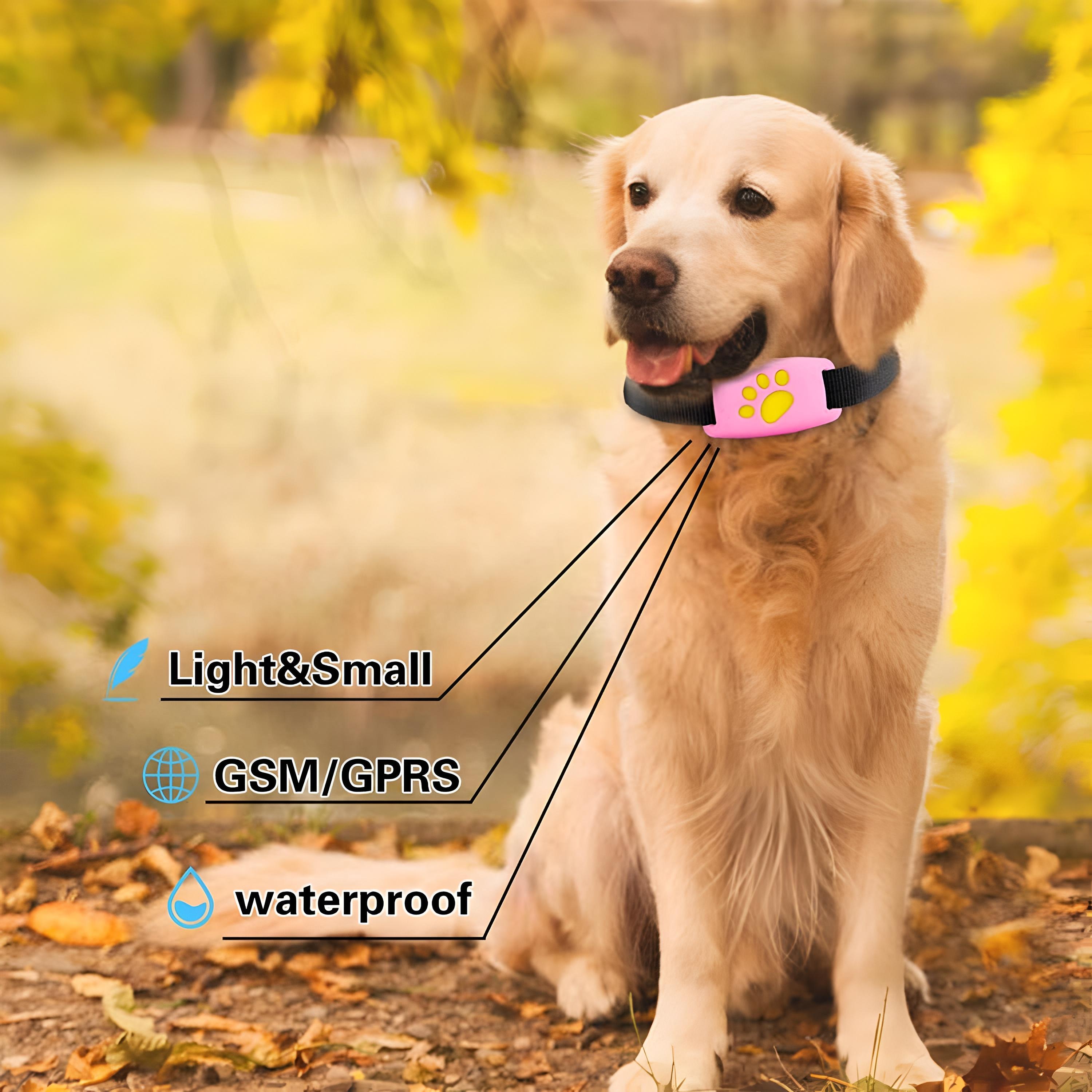 Pet GPS Tracker Collar Dog Cat Waterproof Real Time Locator