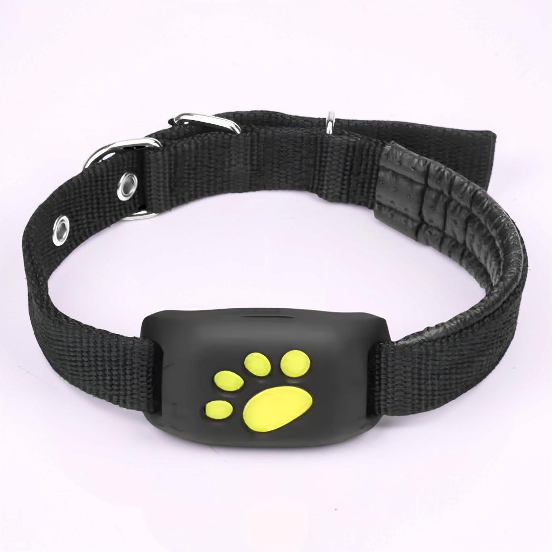 GPS-Tracker-Halsband für Hunde und Katzen