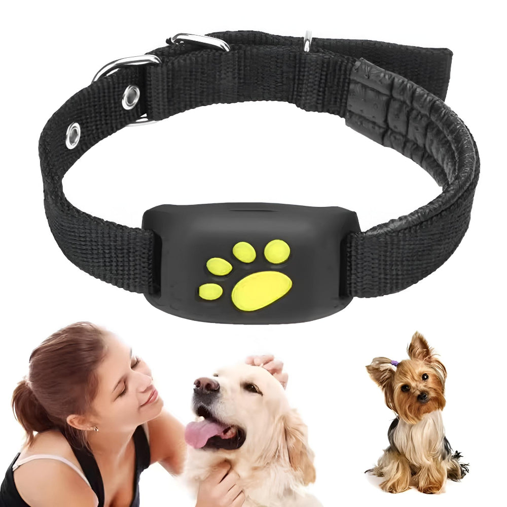 GPS-Tracker-Halsband für Hunde und Katzen