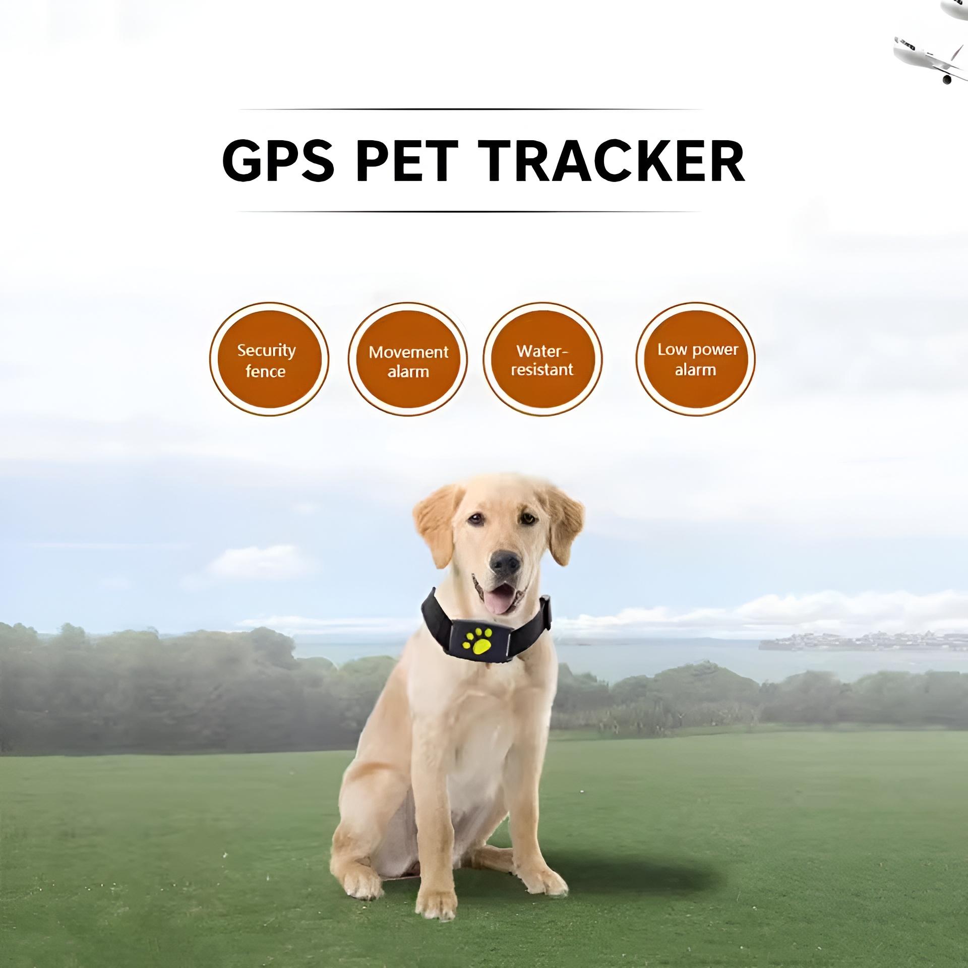 Pet GPS Tracker Collar Dog Cat Waterproof Real Time Locator