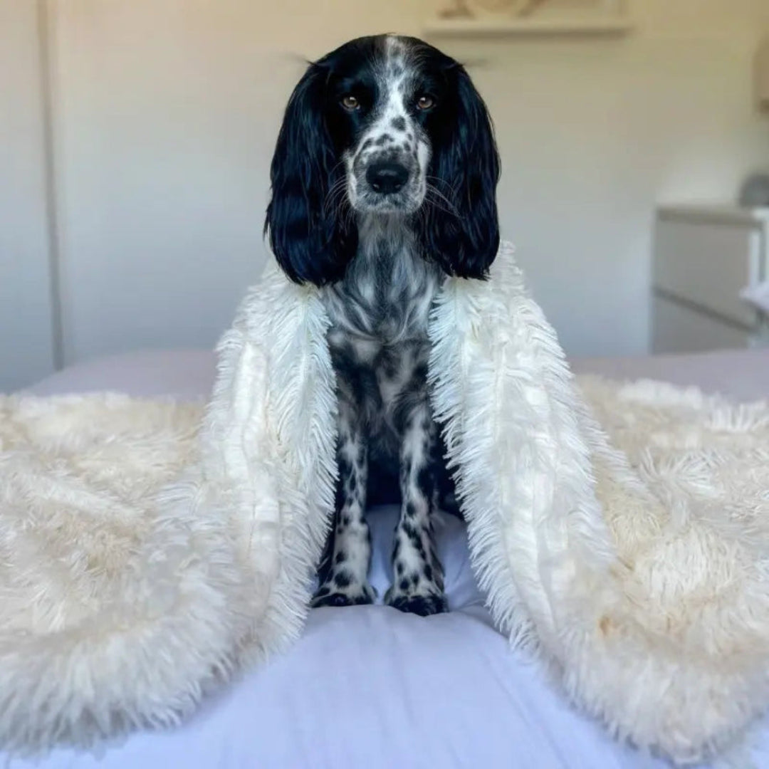 Pet Blanket Plush Soft Washable Dog Cat Bed 2