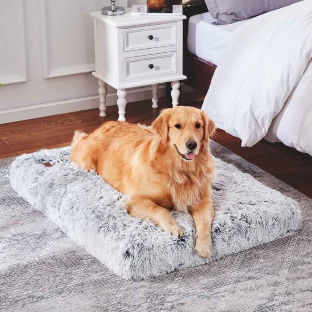 Pet Pillow Soft Resting Foam Cushion 2