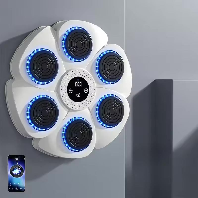 Home Boxing Wall Trainer with Bluetooth Music