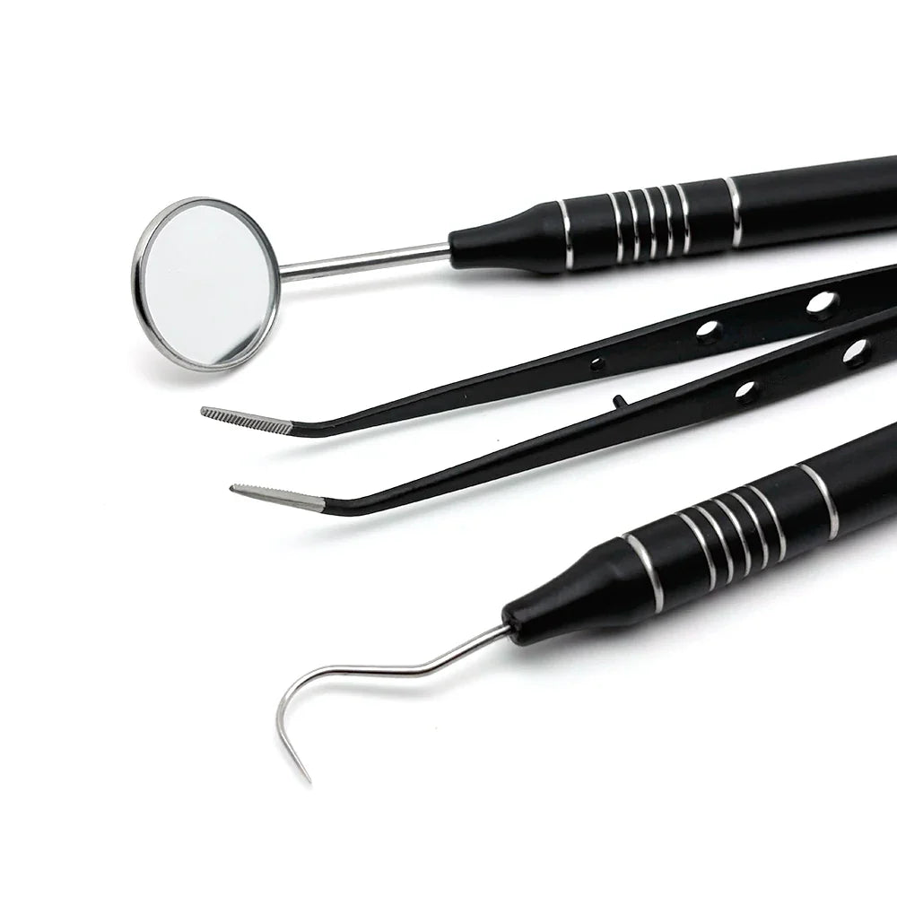Teeth Cleaning Kit with Steel Dental Tools