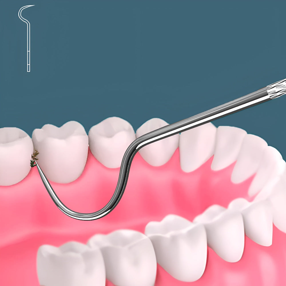 Stainless Steel Toothpicks Oral Hygiene Set 1