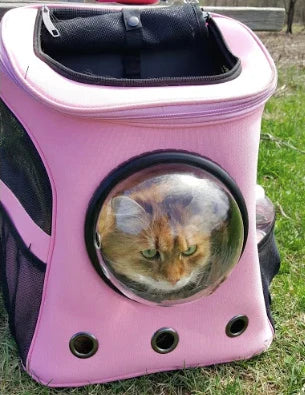 Pet Carrier Backpack with Bubble Window Design