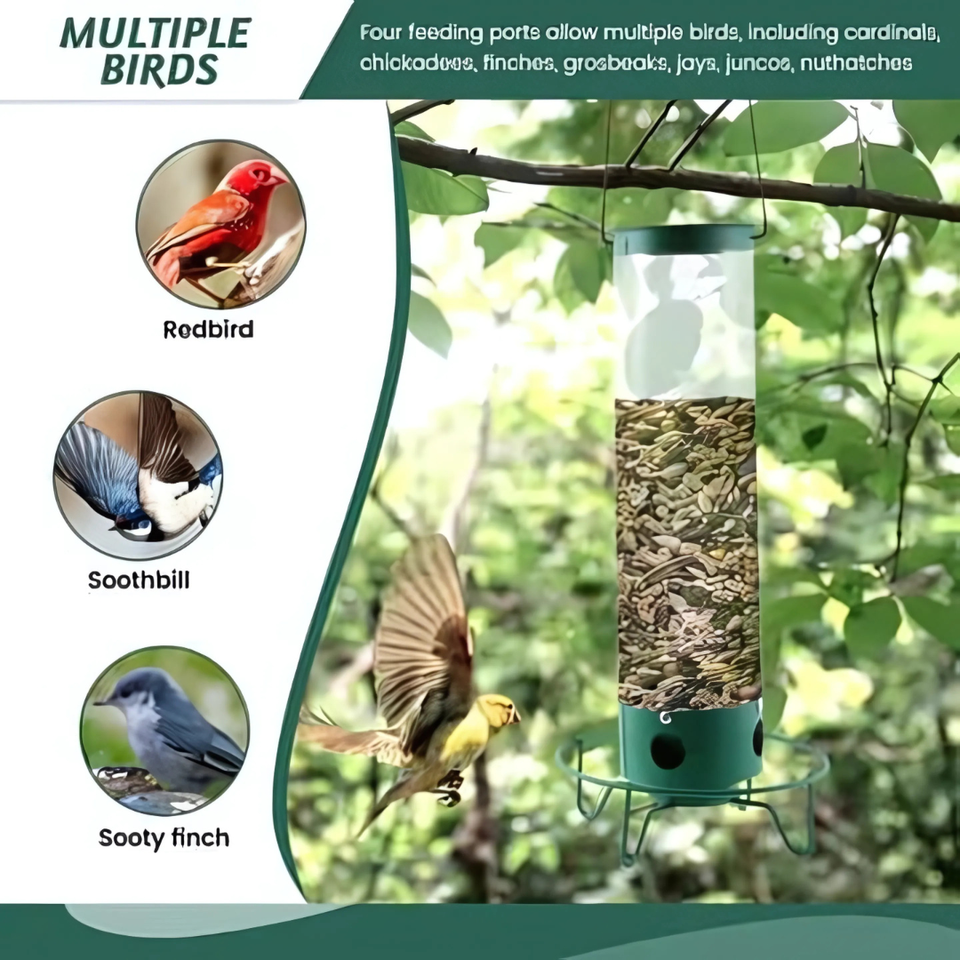 Bird Feeder Metal Hanging Squirrel Proof Design