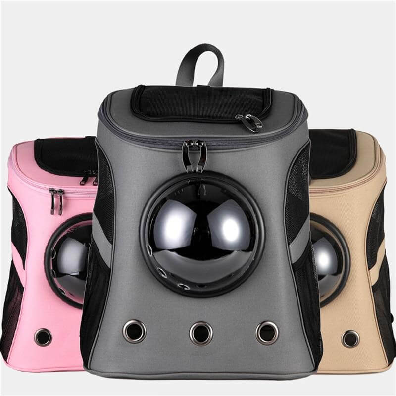 comfortable-cat-travel-backpac-6-xegj23