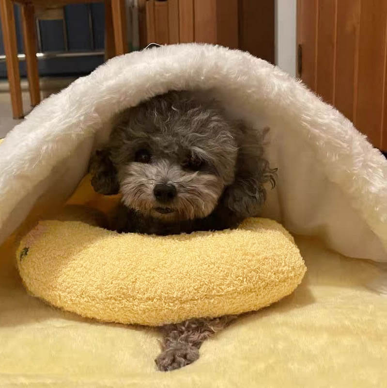 Psí pelíšek uklidňující fleecový polštář proti úzkosti